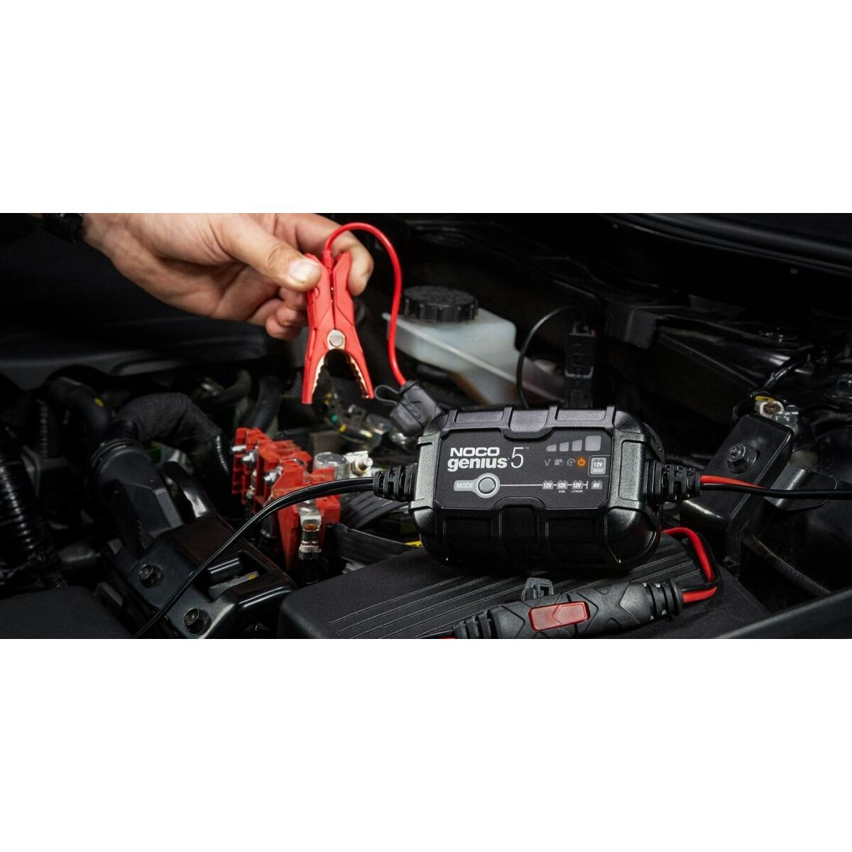 V5H37F3D367BC5237FF4B0CC3DAED2D10AAR3857332P6