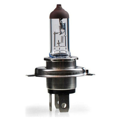 V8HCD03CE23E1A0A1FC1ABEDA24622E4905R5573351P3