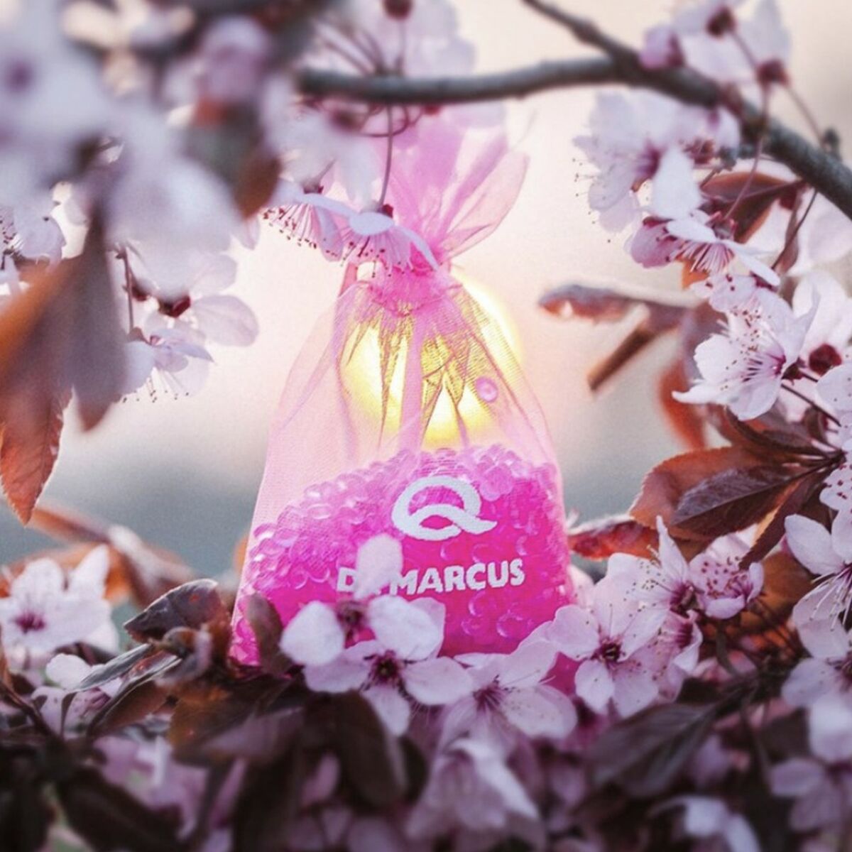 V1H1E9ACAB912192B7D72683CEE9E1FFA51RP2