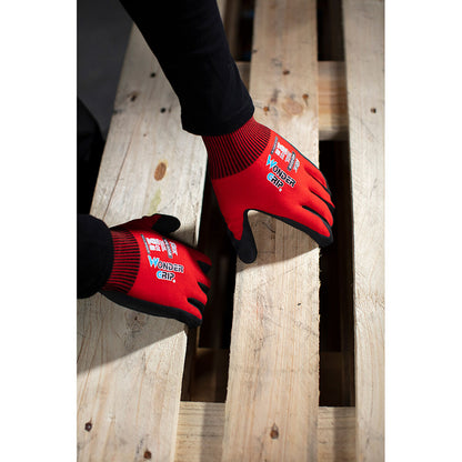 V2H6FC6C2F274633D2C6FC0A27152E0137AR6675259P5