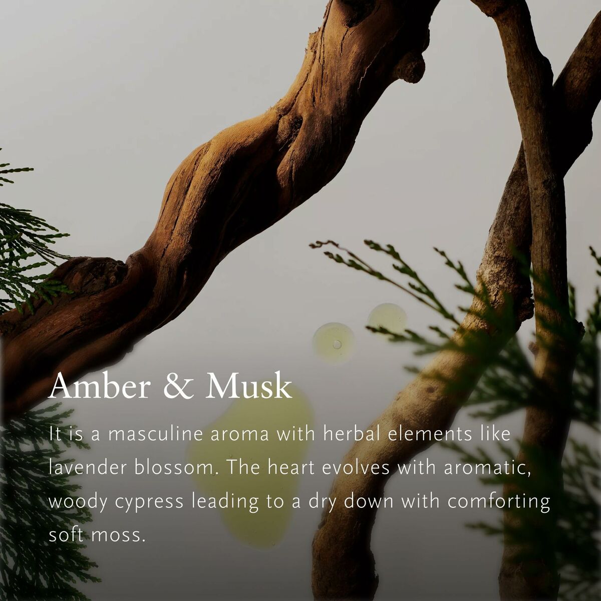 V1HA2F418DEC2313777CD977B462D8C9F44RP4